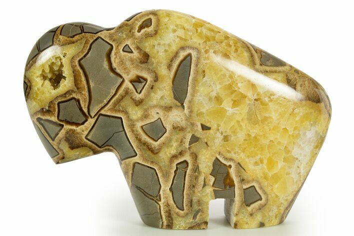 Calcite-Filled Polished Septarian Bison - Utah #344829